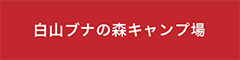 白山ブナの森キャンプ場