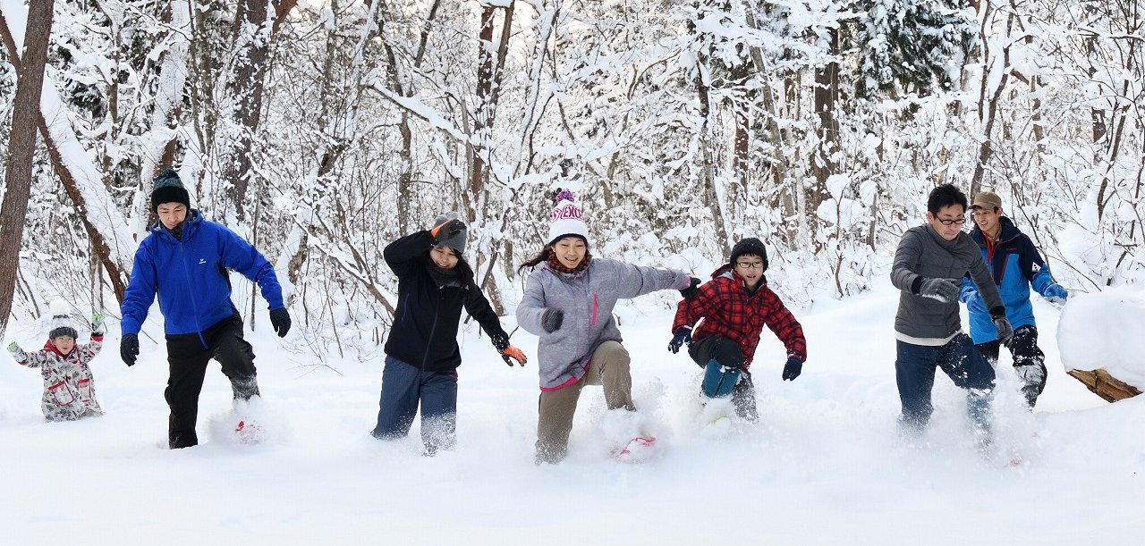 雪の森の散歩