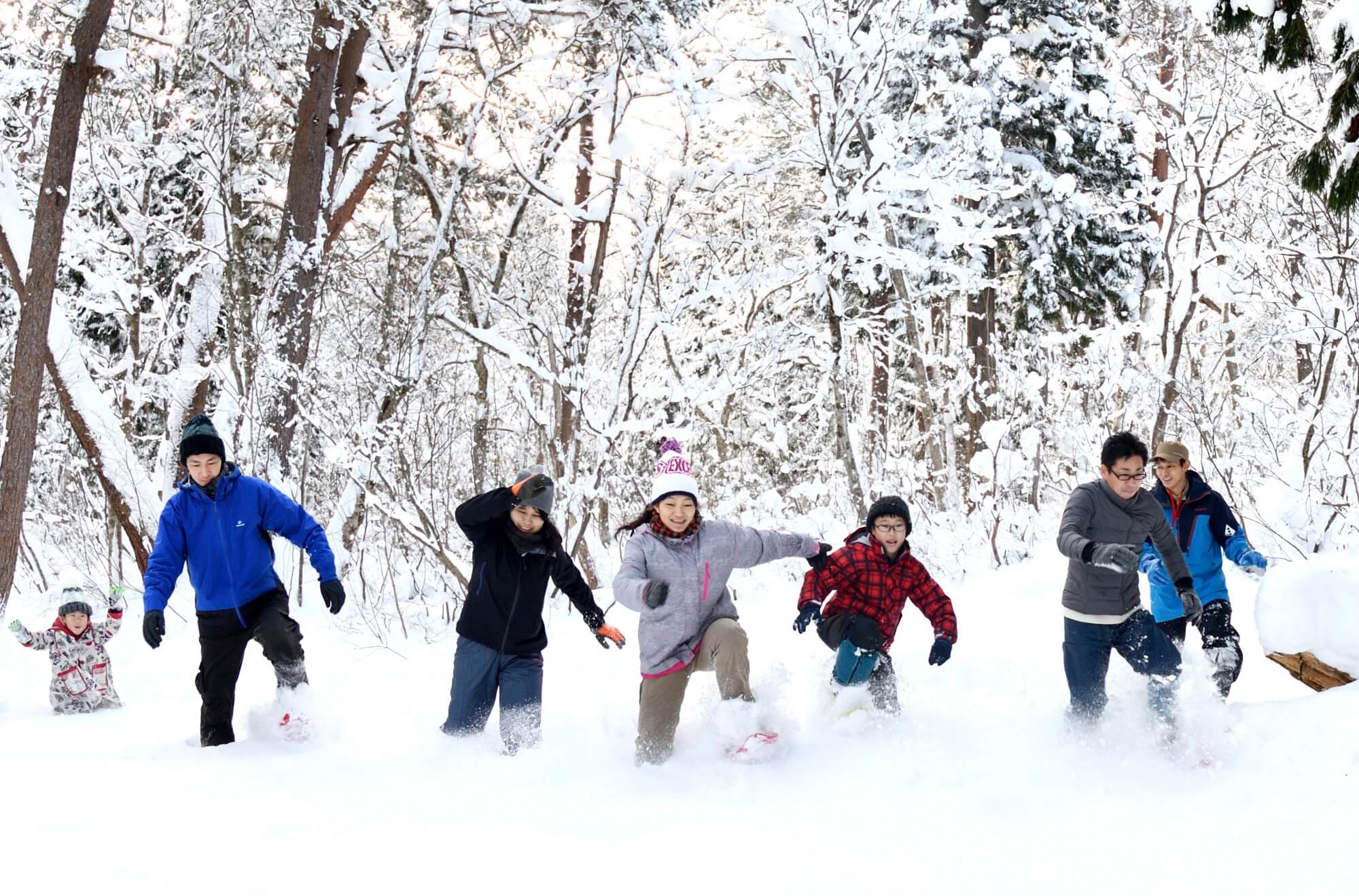雪の森の散歩
