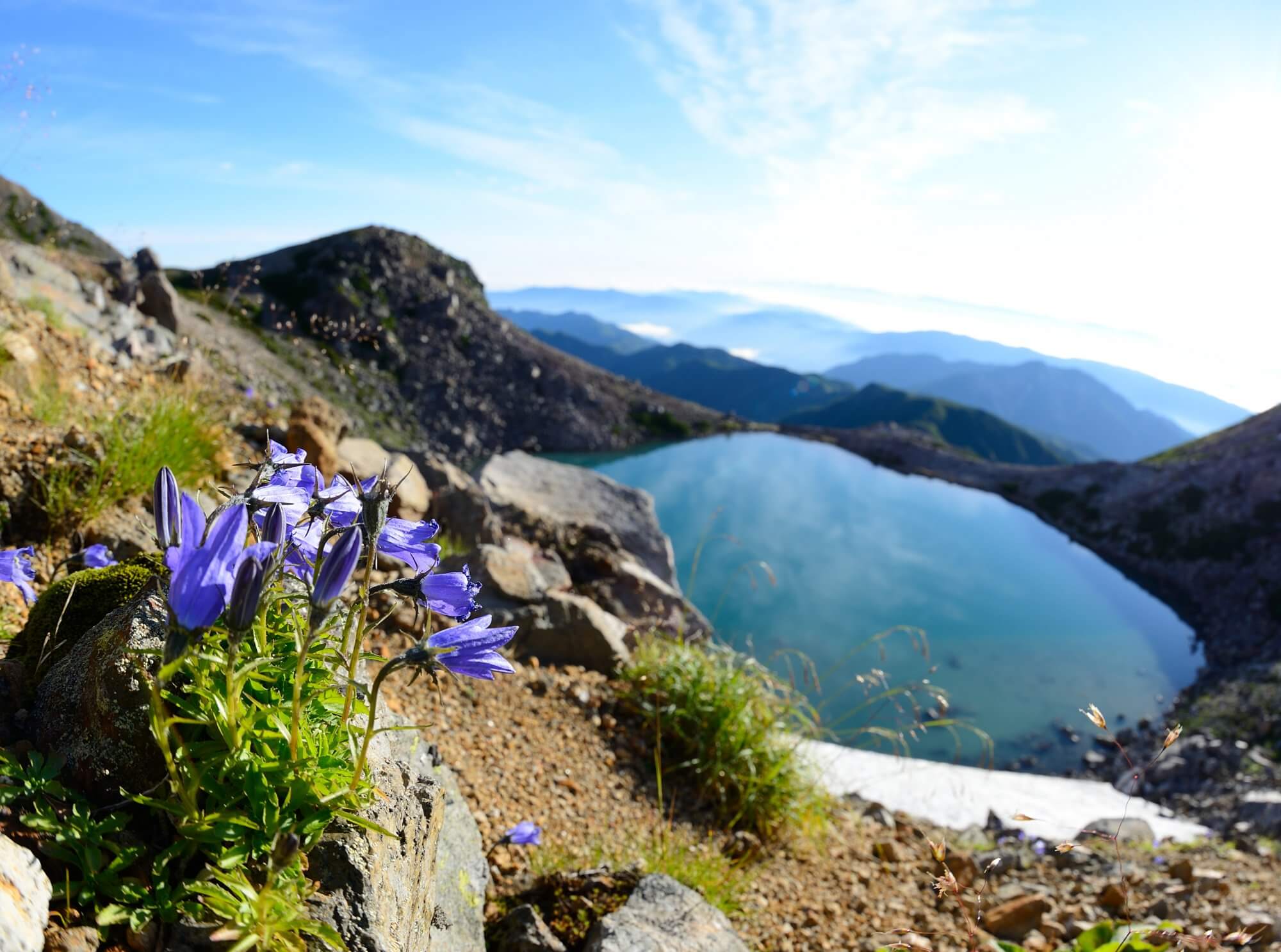 花の白山登山