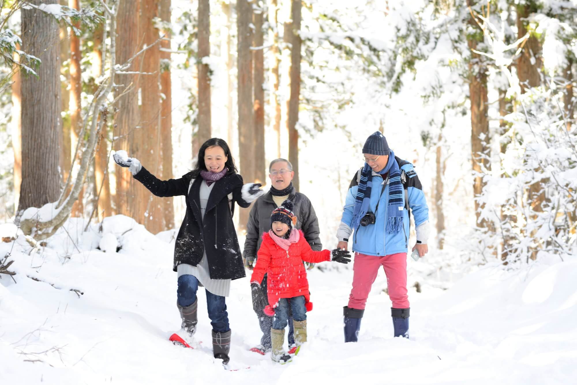 雪の森の散歩