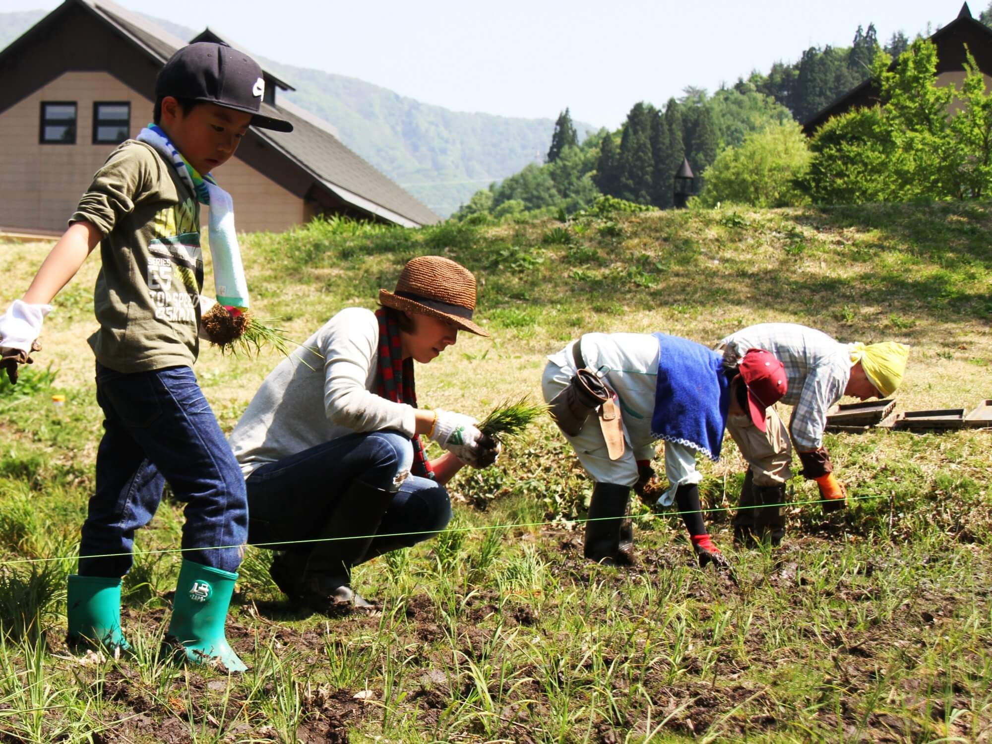田んぼの楽校プロジェクト~田植え~