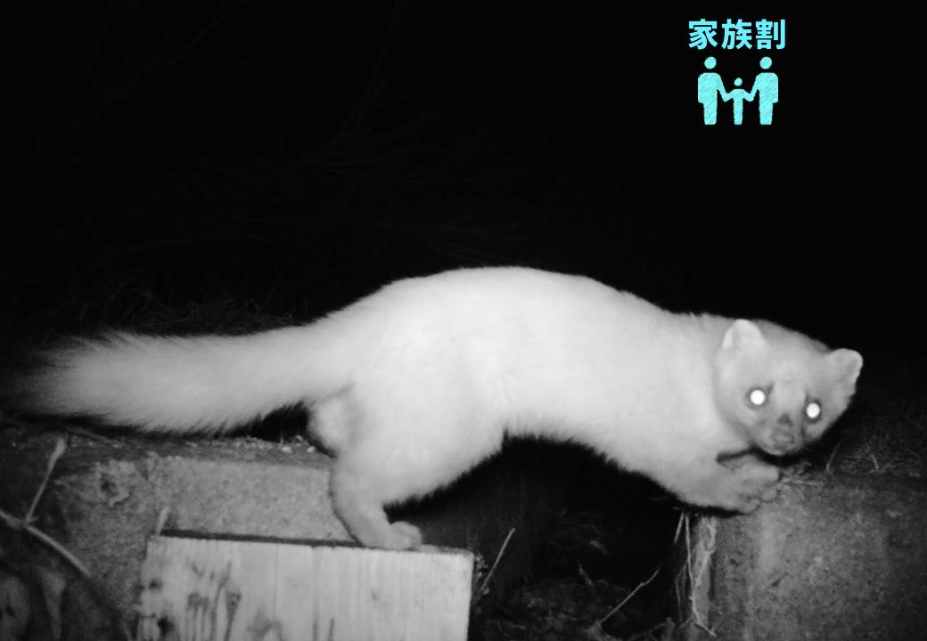 めざせ!どうぶつカメラマン