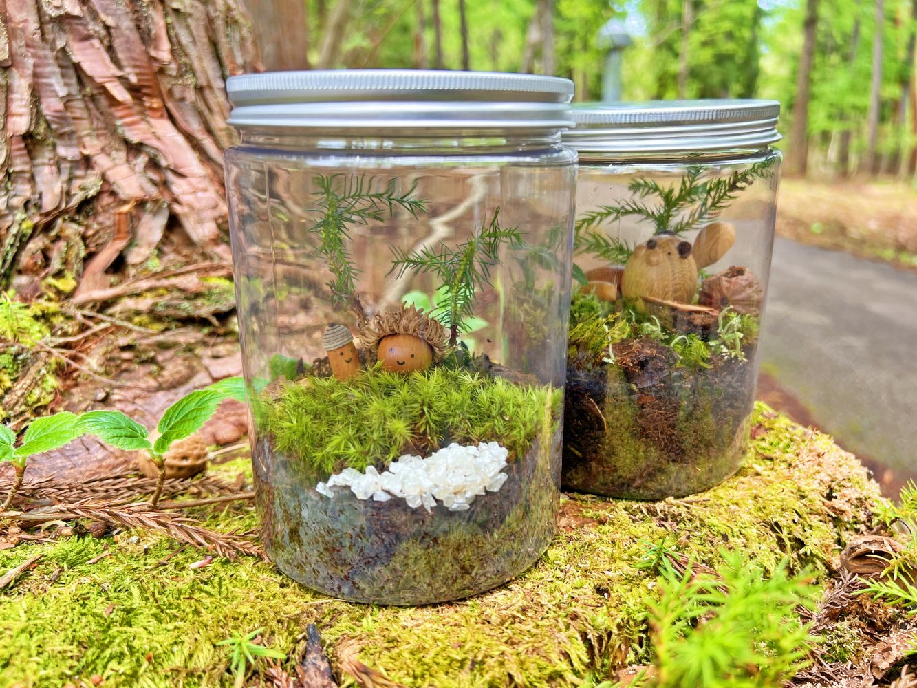 【10/12、13、19限定】 私の小さな森